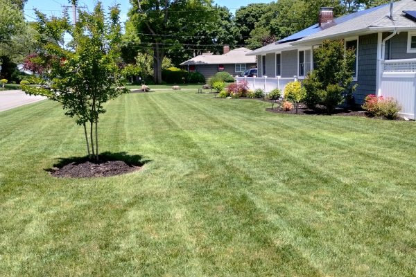 Landscaping services in East Patchogue NY, Garden Disegn in East Patchogue NY (18)