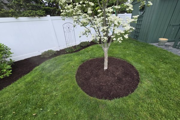 Mulching
